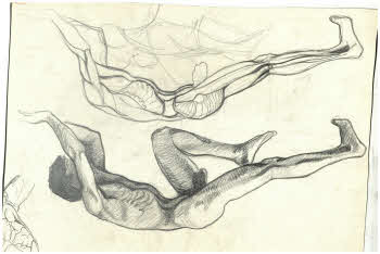 Visualizza l'immagine "FD D 920"